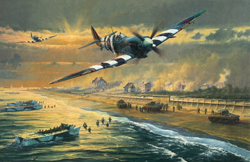 Juno Beach | Anthony Saunders