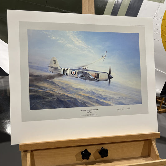 Sea Fury | Robert Taylor