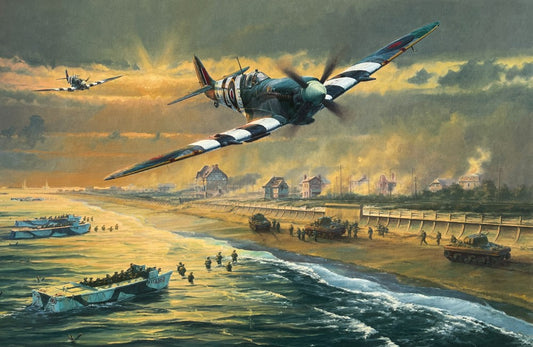 Juno Beach | Anthony Saunders